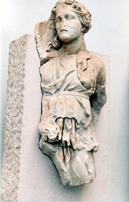 perga2.jpg